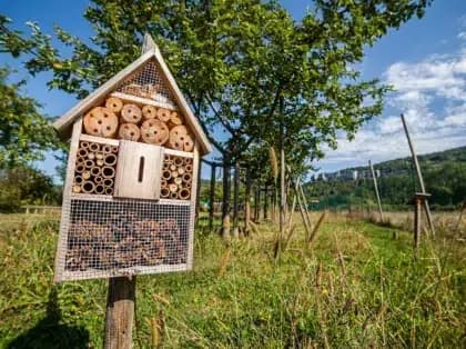 Camping La Roche d'Ully — Camping vanlife à Ornans, Bourgogne-Franche-Comté