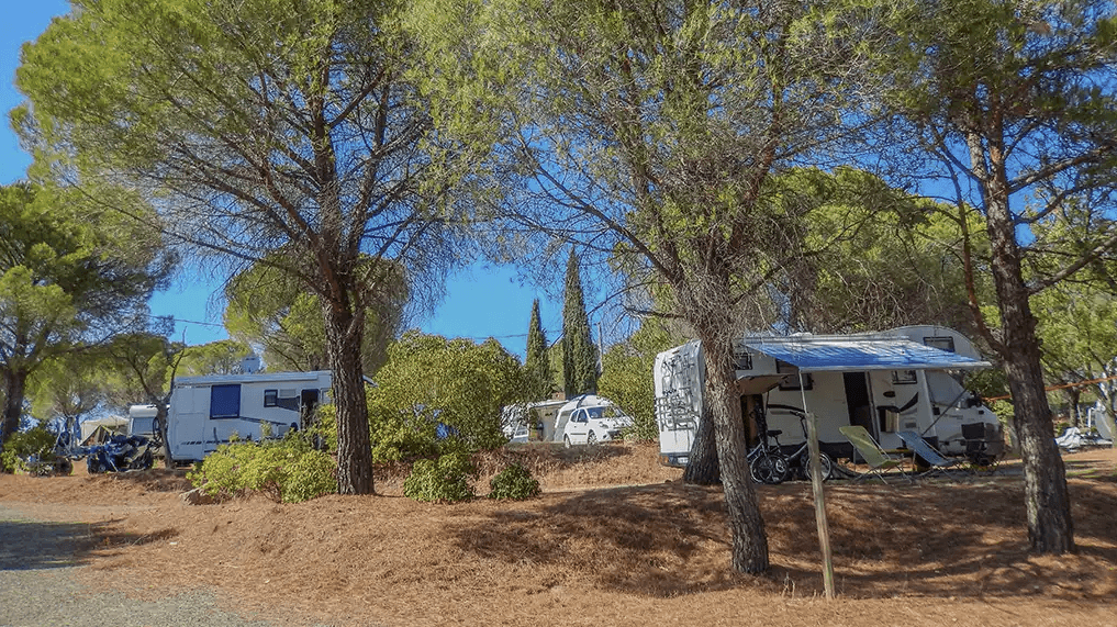 Vanlife dans l'Hérault : vignes, garrigue et accueil au naturel au Camping Les Terrasses